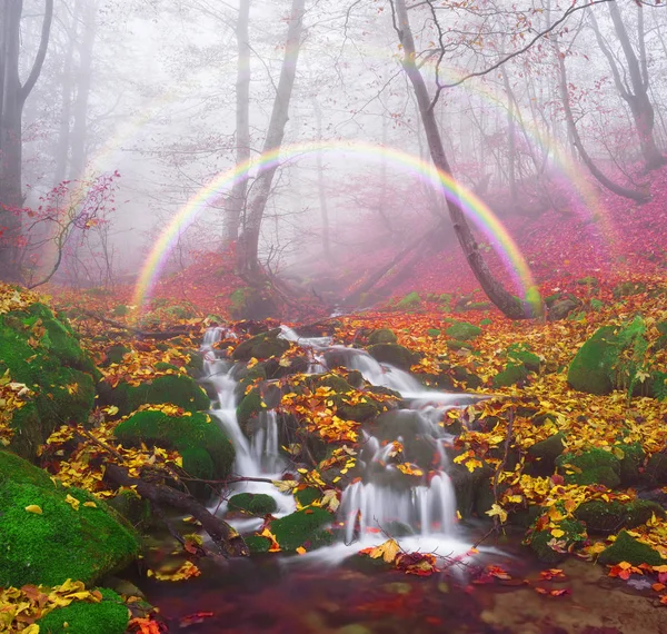 Arroyo en el bosque de otoño —  Fotos de Stock