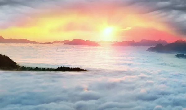 Mgła morze na Dolina górska w Karpatach — Zdjęcie stockowe