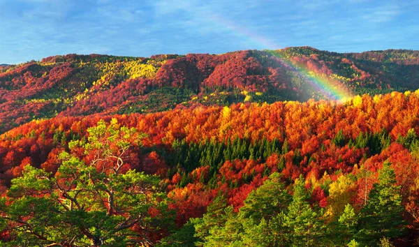 Dovbush Rocas en Bubnyshche — Foto de Stock