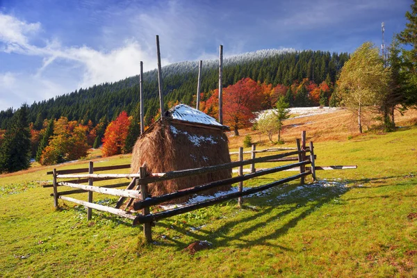 Haystack e faia árvores no outono — Fotografia de Stock