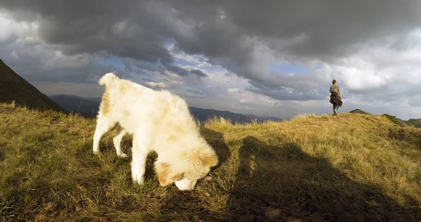 Hirte und treuer zotteliger Hund — Stockfoto