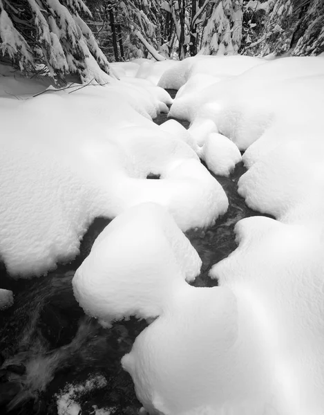 Karpatské řeky v zimě — Stock fotografie