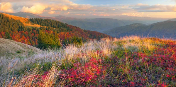 Golden autumn in the Carpathians