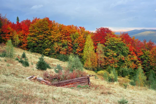 Maison en ruine et automne — Photo