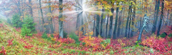 ヨーロッパの山の秋 — ストック写真
