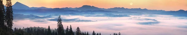 Foggy sunrise in the Carpathian mountains — Stock Photo, Image