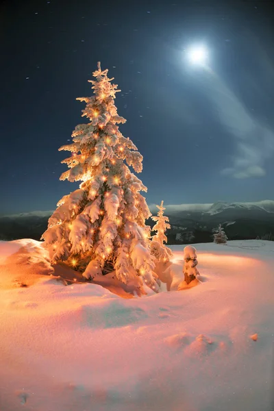 Frostiga vinternatten till dop — Stockfoto