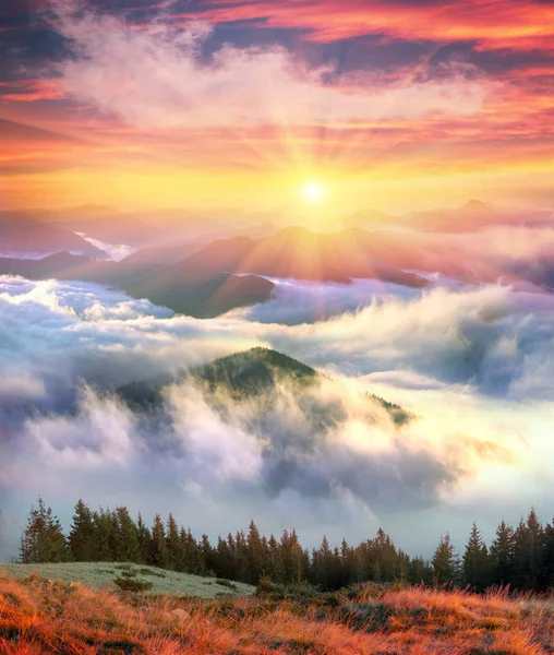 Morgon på toppen av berget Hamster — Stockfoto