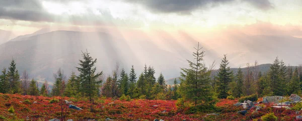 Goldener Herbst in den Gipfeln der Alpen — Stockfoto