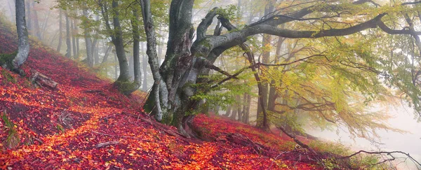 Herbst in den Bergen Europas — Stockfoto