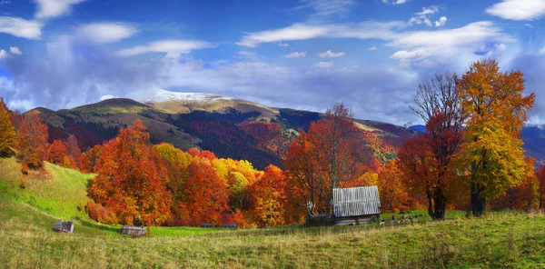 Gouden herfst in de Karpaten — Stockfoto
