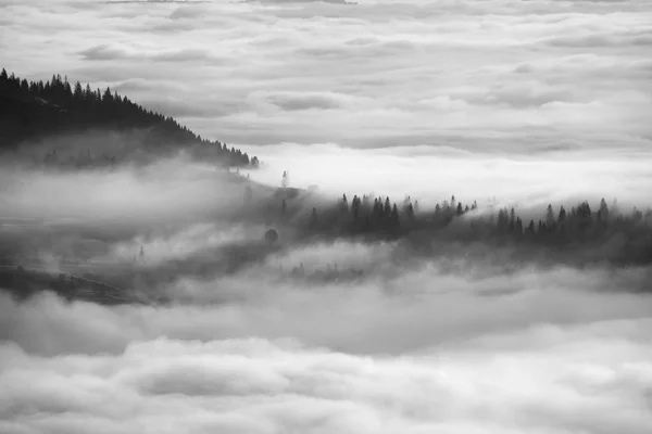 Nebel über einem Gebirgstal in den Karpaten — Stockfoto