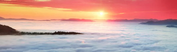 Deniz sis Karpatlar bir dağ vadi üzerinde — Stok fotoğraf