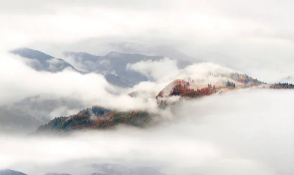 Nevoeiro do mar após chuva nas montanhas — Fotografia de Stock