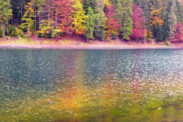 Synevir lake autumn colors — Stock Photo, Image