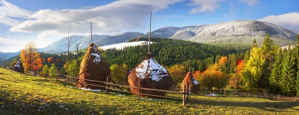 Haystacks e faia árvores no outono — Fotografia de Stock