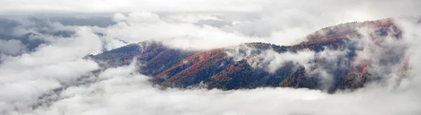 Niebla marina tras lluvia en las montañas —  Fotos de Stock