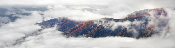 Sea mist na regen in Bergen — Stockfoto