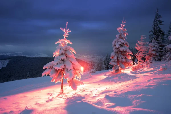 Frosty winter night of Christening — Stock Photo, Image