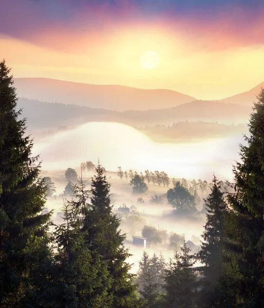 Nebliger Berg-Tsunami — Stockfoto