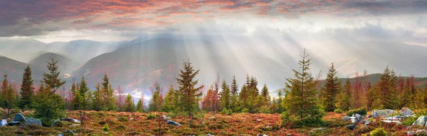 Gyllene höst i alpina toppar av Gorgany — Stockfoto