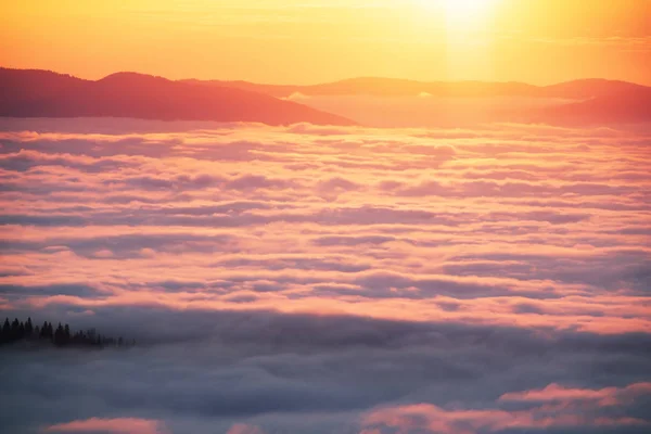 Niebla marina en un valle montañoso en los Cárpatos — Foto de Stock