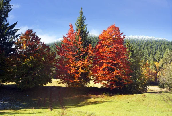 Autumn and winter in the mountains — Stock Photo, Image