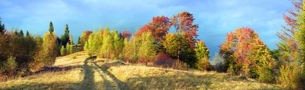 金色的秋天，在喀尔巴阡 — 图库照片