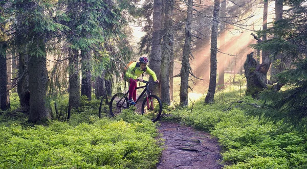 Köd lovas egy mountain bike — Stock Fotó