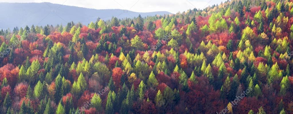 Cold autumn in Precarpathians — Stock Image Cold autumn in Precarpathians Stock Image