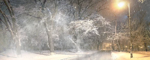 キエフ工科大学の夜公園 — ストック写真