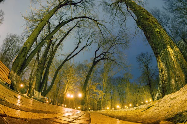 Vista noturna no parque Mariinsky em Kiev — Fotografia de Stock