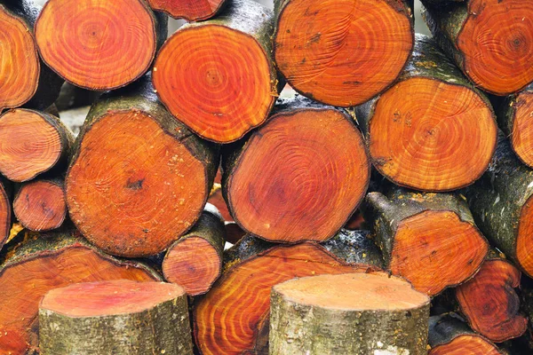 Picturesque composition of firewood — Stock Photo, Image