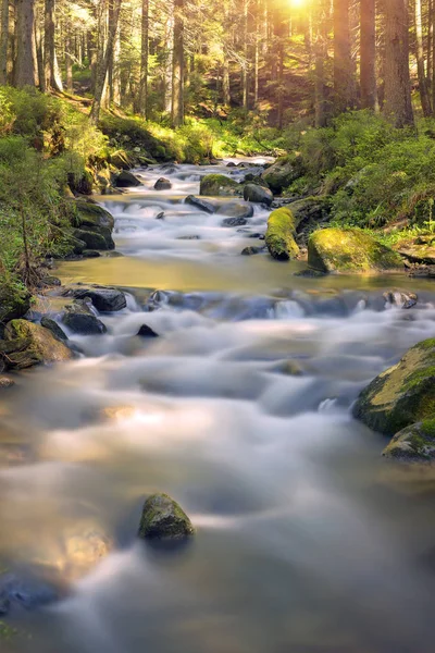 Cachoeira no rio Prut, na Ucrânia — Fotografia de Stock