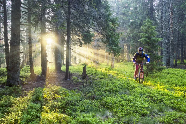 Homem de bicicleta em montanhas com raios de sol — Fotografia de Stock