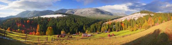 Foresta autunnale in montagna — Foto Stock