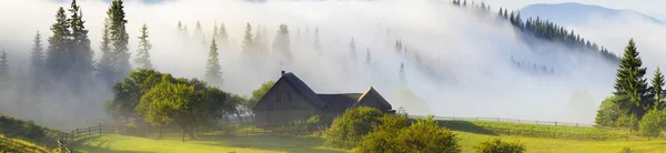 Blumenfarm in den Karpaten — Stockfoto