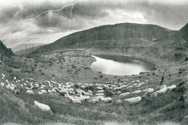 Espírito de antiguidade com ovelhas nas montanhas — Fotografia de Stock