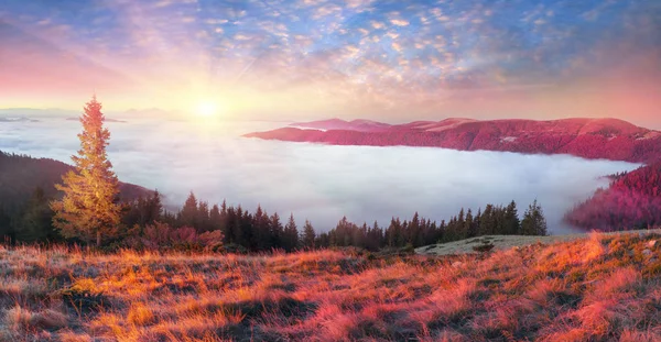 Nebel in den herbstlichen Bergen — Stockfoto