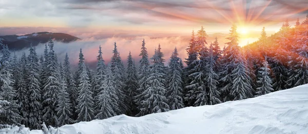 Frosty zonsopgang in de Karpaten — Stockfoto