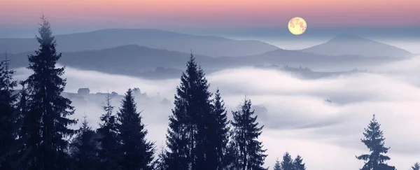 Foggy sunrise in the Carpathian mountains — Stock Photo, Image