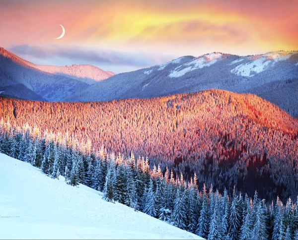 在喀尔巴阡山脉的霜日出 — 图库照片