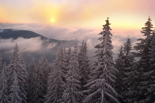 Frostiga sunrise i Karpaterna — Stockfoto