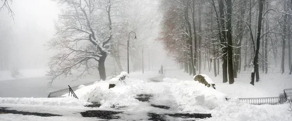 Portare il cane nella nebbia — Foto Stock