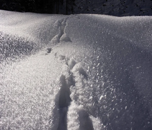 Волшебные снежные узоры — стоковое фото