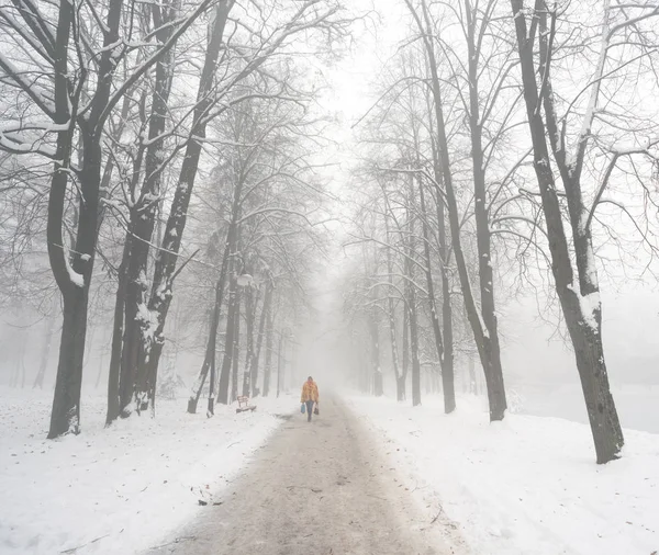 Paseando al perro en la niebla — Foto de Stock