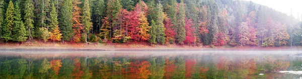Synevir 湖在秋天的颜色 — 图库照片
