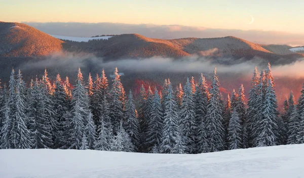 Frostiger Sonnenaufgang in den Karpaten — Stockfoto