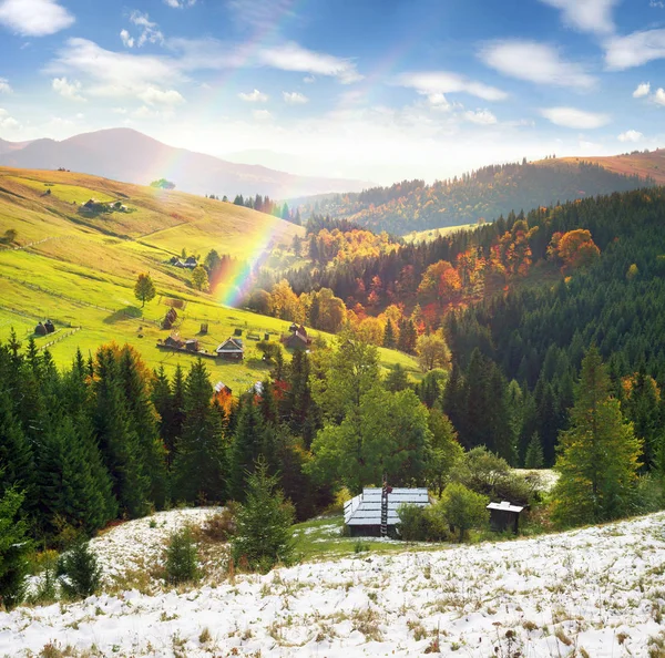 Autumn forest in the mountains — Stock Photo, Image