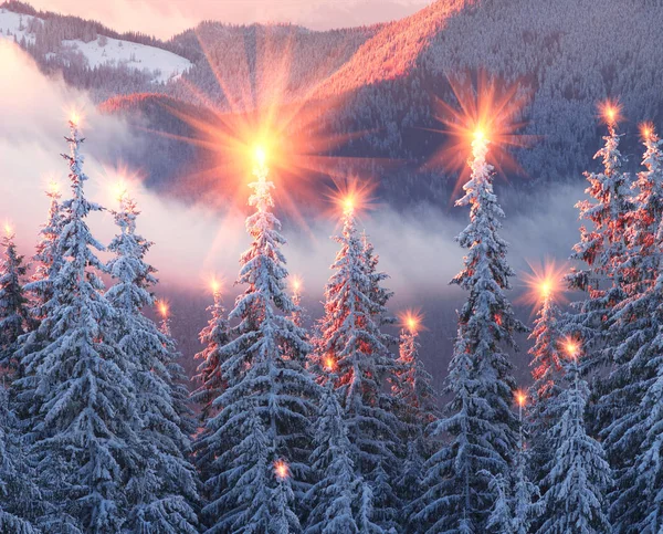 Frosty sunrise in Carpathians — Stock Photo, Image